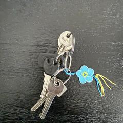 Keys, ha sido reportado a iLost