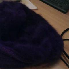 Gorra Paars, fluffy, ha sido reportado por Het Spoorwegmuseum con iLost