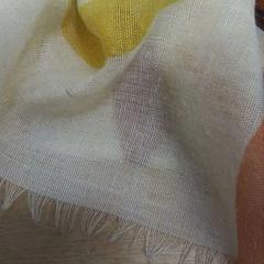 Lommetørkle, som rapportert av IKEA Valladolid ved bruk av iLost