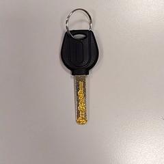 Chiave Zwart, come riportato da Vrije Universiteit Amsterdam utilizzando iLost