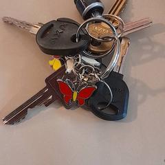 Porte-clés sleutelbos, a été signalé par Universiteitsbibliotheek (Witte Singel) utilisant iLost