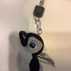 Schlüssel, gemeldet von Gemeente Amsterdam über iLost