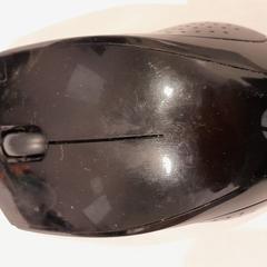 Mus noire, som rapportert av TCL ved bruk av iLost