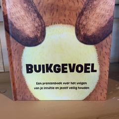 Livro, como reportado por Familie Resort Molenwaard utilizando o iLost