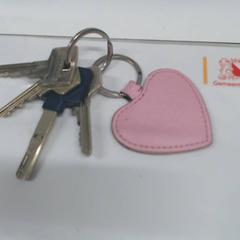 Sleutelbos, zoals gemeld door Gemeente Utrecht met iLost