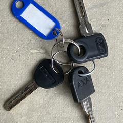 Sleutels, som rapporterats till iLost