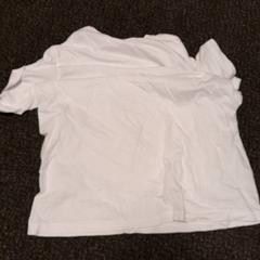 Kleidung Wit, gemeldet von Van der Valk Hotel Tiel über iLost