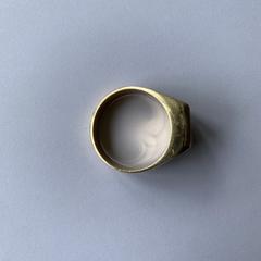 Ring, iLost'a bildirildiği gibi