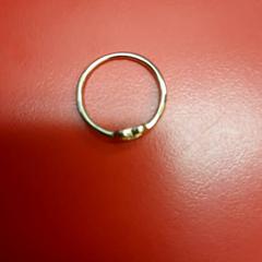 Ringetje?, amint azt UvA REC az iLost segítségével jelentette.