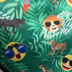 Tasje Tas van schouwstra, zoals gemeld door Arriva Friesland / Groningen met iLost