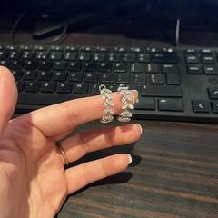 Fülbevaló, amint azt Van der Valk Rotterdam Blijdorp az iLost segítségével jelentette.