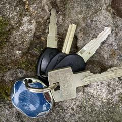 Sleutelbos, amint azt az iLostnak jelentették.