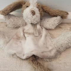 Plysj dask Hond, som rapportert av DierenPark Amersfoort ved bruk av iLost