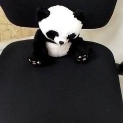 Stuffed animal, as reported by ilévia using iLost