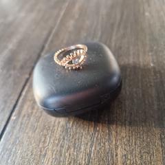 Ring, iLost'a bildirildiği gibi