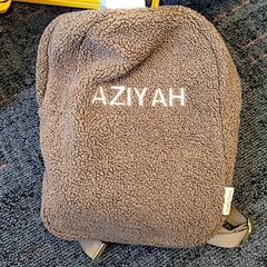 バッグ Bruin がiLostで Connexxion Haarlem IJmond によって報告されました