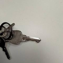 Klíč, jak nahlášeno ilévia pomocí iLost