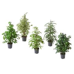 Výrobek IKEA, jak nahlášeno IKEA Arlon pomocí iLost