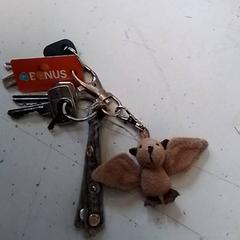 Chaveiro, segundo informou Hermes Eindhoven usando iLost