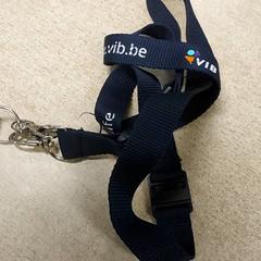 Diverse - Lanyard Zwart, jak nahlášeno Centraal magazijn pomocí iLost