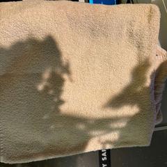 Handdoek BEIGE, zoals gemeld door Room Mate Bruno met iLost