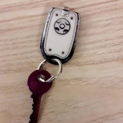 Nyckel, rapporterat av IKEA Breda med iLost