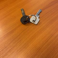 Llave, ha sido reportado por Blauwnet Zwolle con iLost