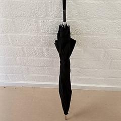 Umbrella, as reported by Qbuzz GD Groningen Peizerweg using iLost