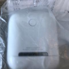 Oortjes, a été signalé par Van der Valk Hotel Veenendaal utilisant iLost