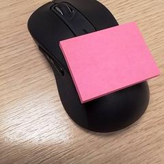 Mouse, as reported by Qbuzz Fryslân using iLost