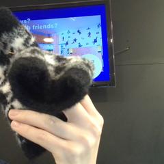 Gloves, as reported by MEININGER Hotel Vienna Downtown Franz using iLost