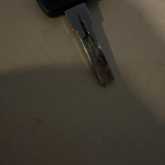 Bicycle key Axa, as reported by Jaarbeurs using iLost