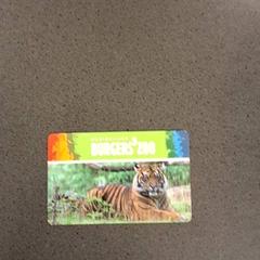 Dierentuinkaart Nijhuis, zoals gemeld door Breng Nijmegen met iLost