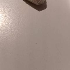 Mazlící hračka, jak nahlášeno De Efteling pomocí iLost