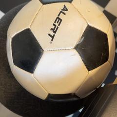 Pilota, segons ha informat Familie Resort Molenwaard mitjançant iLost