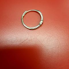 Örhänge, rapporterat av UvA REC med iLost