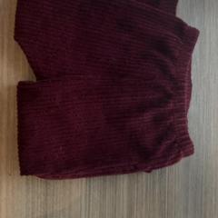 Dětské kalhoty, jak nahlášeno Van der Valk Hotel Haarlem pomocí iLost