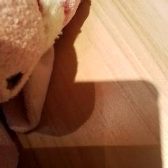 Mysig leksak, rapporterat av Beekse Bergen Resorts en Hotel med iLost