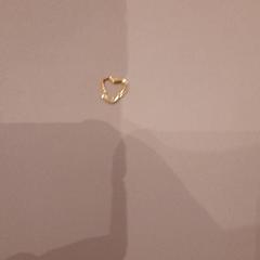 귀걸이 Gold, iLost를 사용하여 Van der Valk Hotel Schiphol에 보고됨