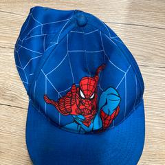 Spider-man petje, zgłoszono przez Pathé Delft przy użyciu iLost