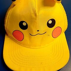 Czapka, zgłoszono przez IKEA Saint-Etienne przy użyciu iLost