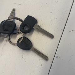 Kľúč, ako bolo nahlásené De Helden van Oranje & Kingsland Festival pomocou iLost