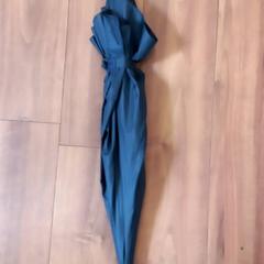 İLost kullanarak Arriva Limburg Zuid tarafından bildirildiği gibi Şemsiye Donkerblauw