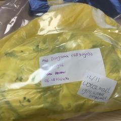 Pigiama pya, come riportato da Diakonessenhuis Utrecht utilizzando iLost