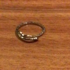 Prsten Met slang, jak nahlášeno Van der Valk Hotel Emmeloord pomocí iLost