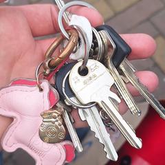 Sleutelbos met roze paardje, ako bolo nahlásené iLost