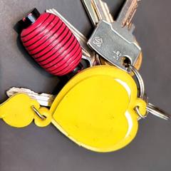 Nøkkelring, som rapportert av Universiteit Gent - Faculteitsbibliotheek LW ved bruk av iLost