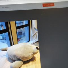 Plüssjáték zabawka, amint azt MEININGER Hotel Kraków Centrum az iLost segítségével jelentette.