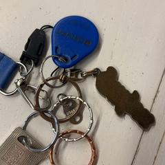 Klíč, jak nahlášeno GVB pomocí iLost