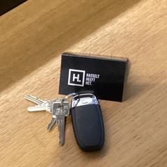 Sleutelbos, som rapportert av Stad Hasselt ved bruk av iLost